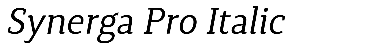 Synerga Pro Italic